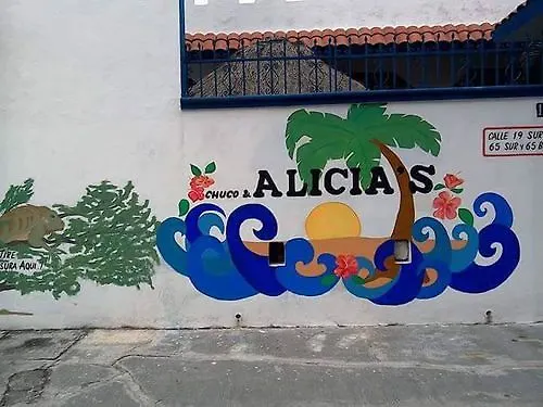 Alicia'S Bed & Breakfast Hotel Cozumel 0*,