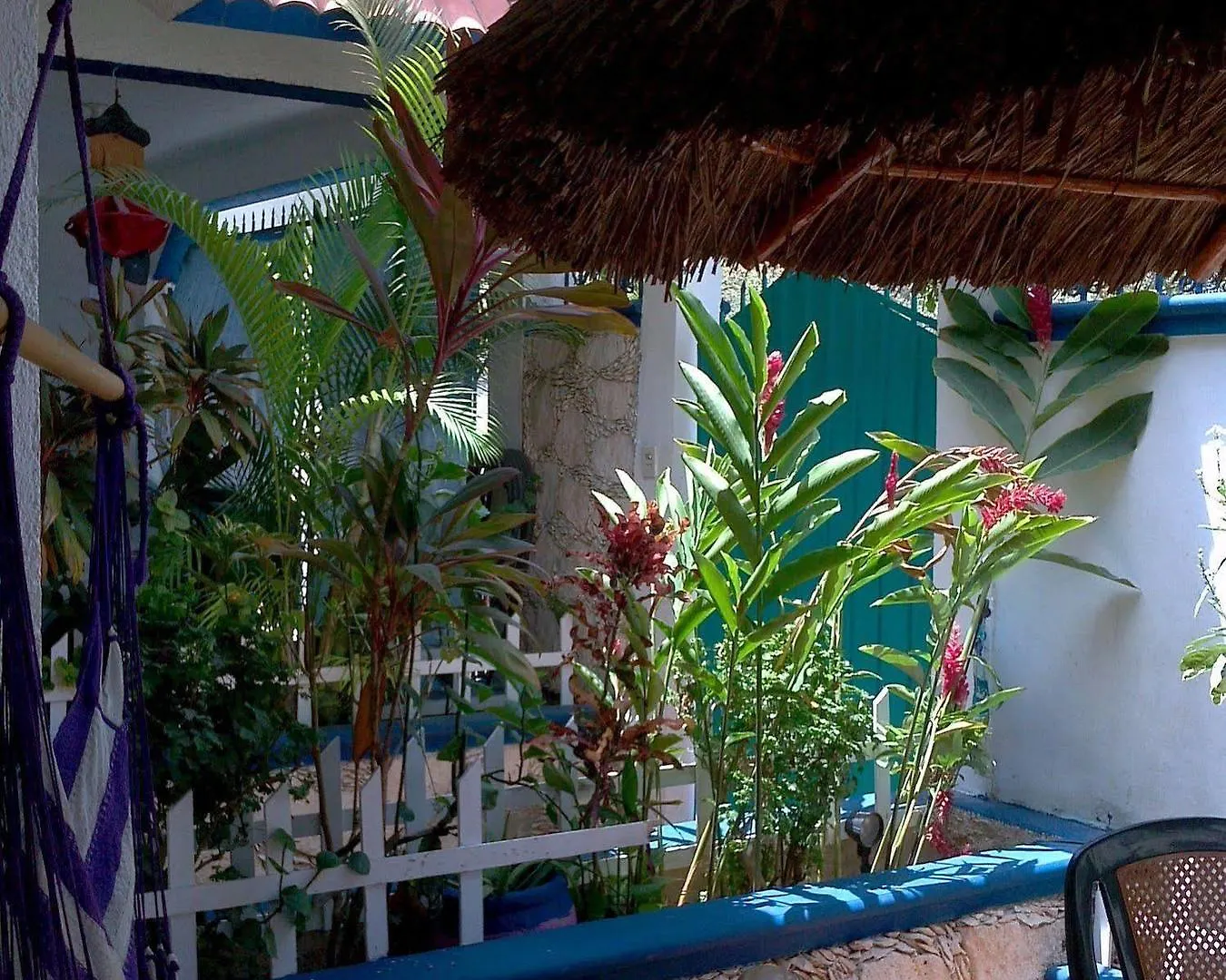 Alicia'S Bed & Breakfast Hotel Cozumel 0*,