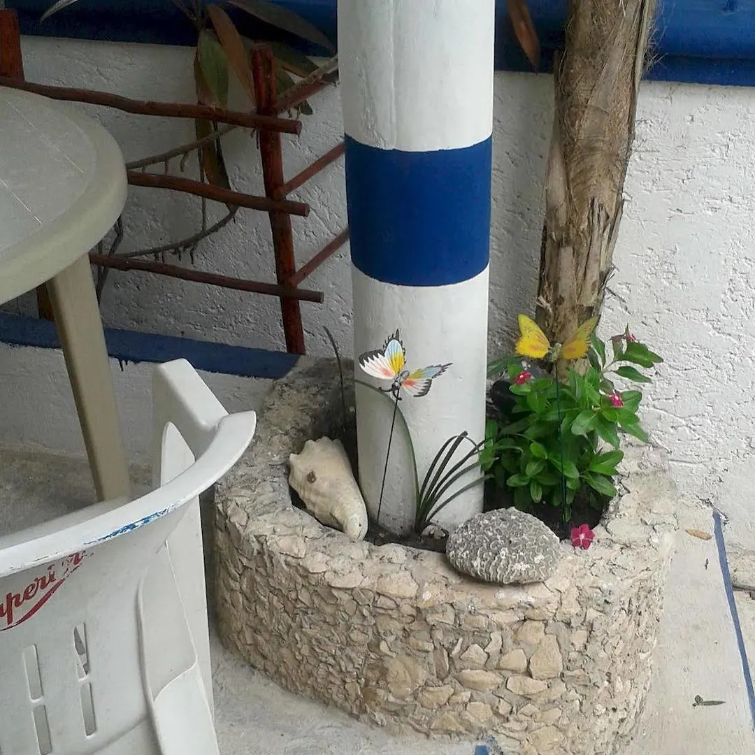 Alicia'S Bed & Breakfast Hotel Cozumel