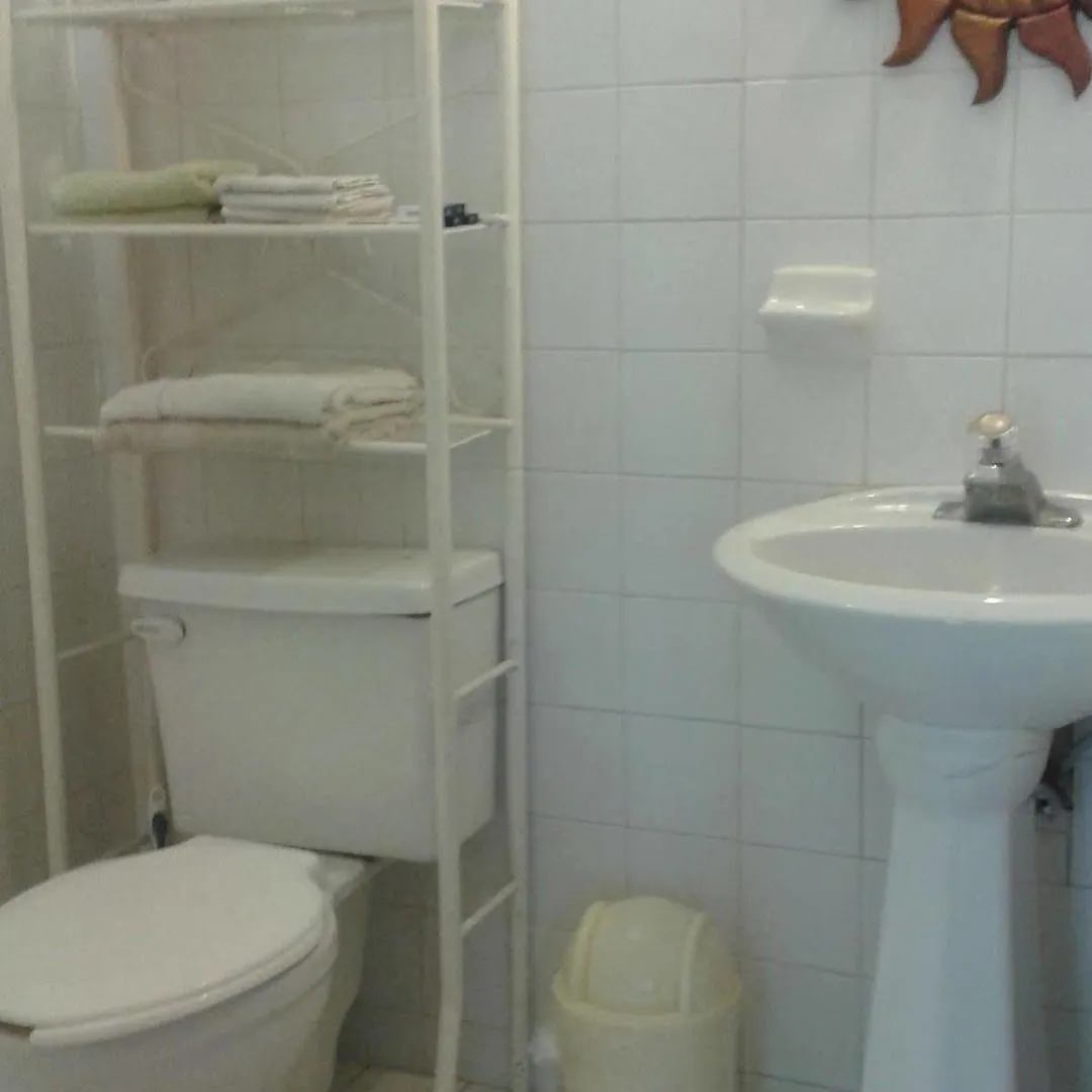 Alicia'S Bed & Breakfast Hotel Cozumel Mexico