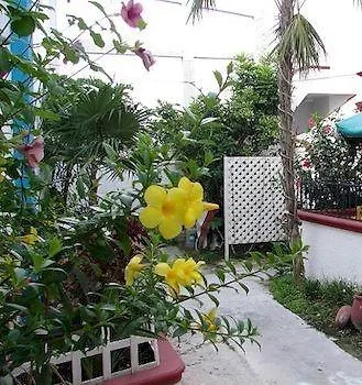 Alicia'S Bed & Breakfast Cozumel Hotel
