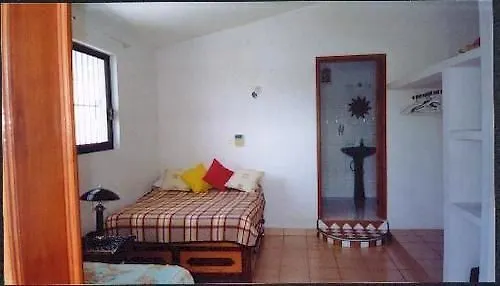 호텔 Alicia'S Bed & Breakfast 코수멜