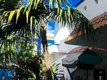 Alicia'S Bed & Breakfast Cozumel Mexico