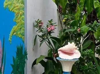 Alicia'S Bed & Breakfast 코수멜