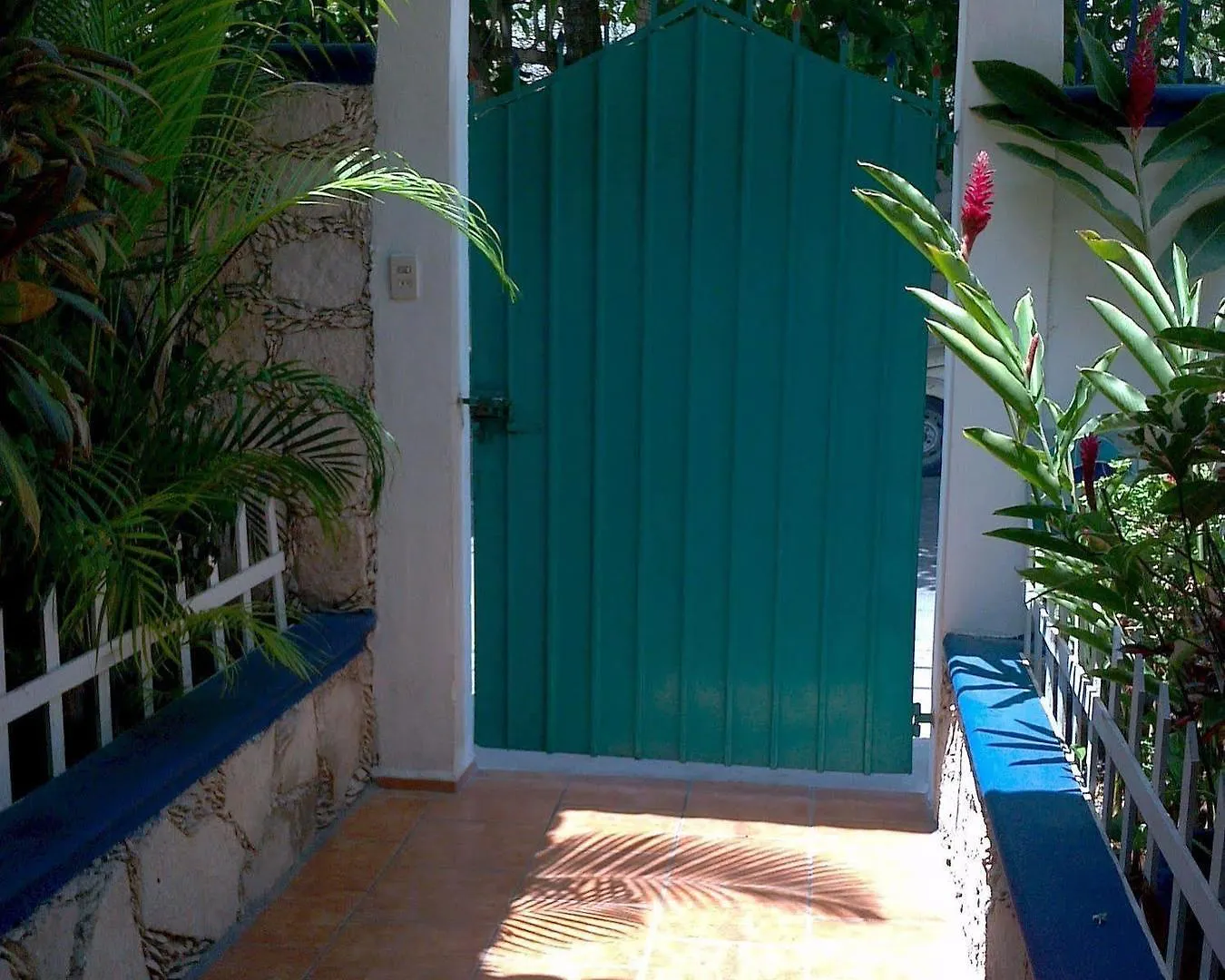 Hotel Alicia'S Bed & Breakfast Cozumel