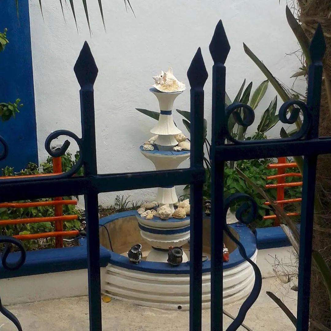 Hotel Alicia'S Bed & Breakfast Cozumel México